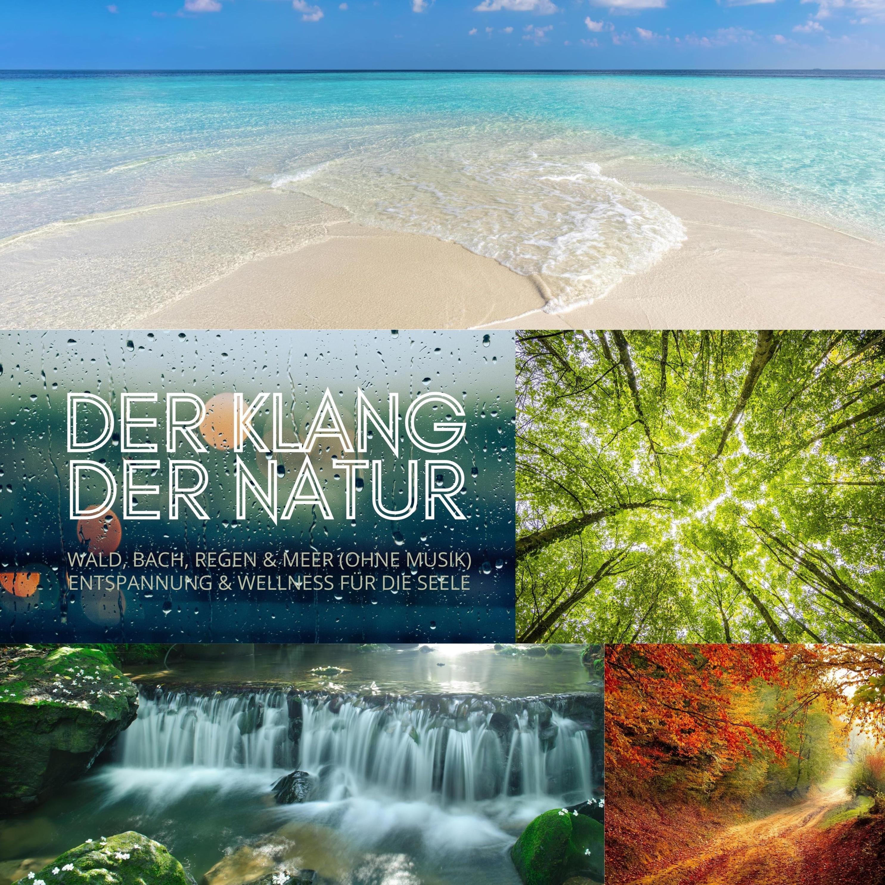Der Klang der Natur - Wald, Bach, Regen & Meer ohne Musik - XXL ...