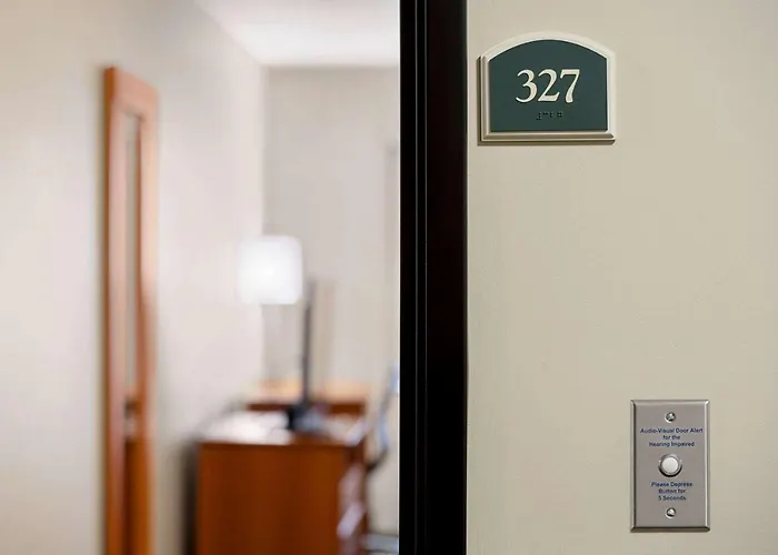 Top Vegas Hotels on Iconic Fremont Street