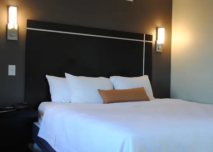Best Hotels Near Lexington Airport with Shuttle